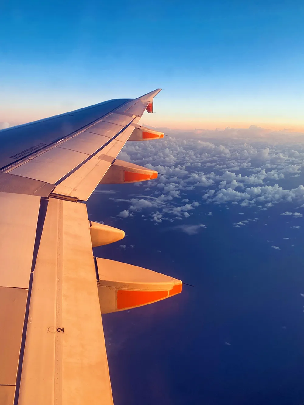 IMG_7850 image-20250816-084610-ce03bd35-min