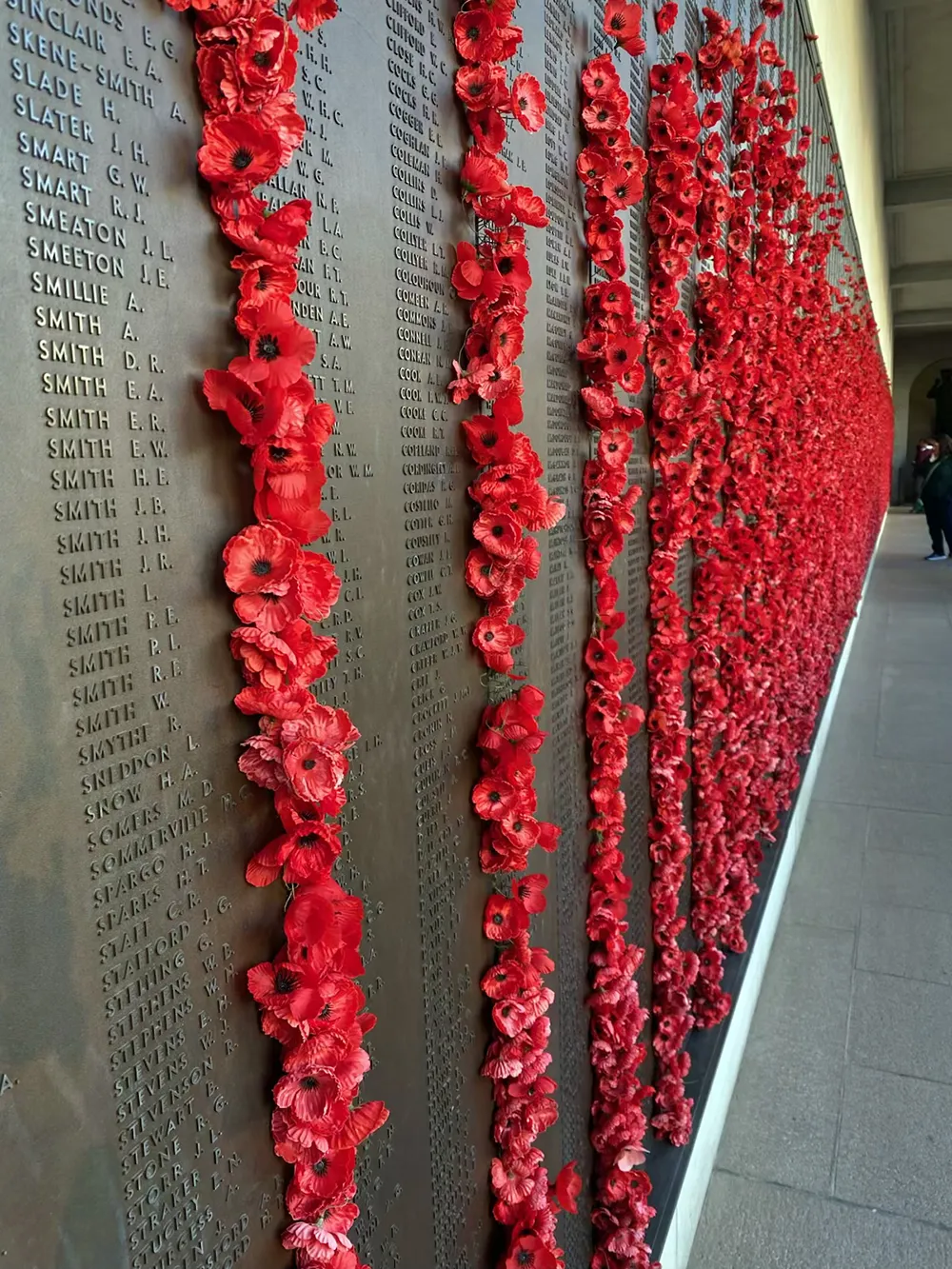 IMG_7885 image-20250817-060806-73269925-min