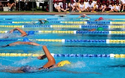 Secondary Swimming Carnival Results