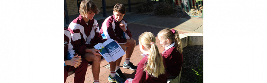 Year 11 Genesis storybooks delight Primary students