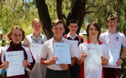 ICAS Maths Distinctions