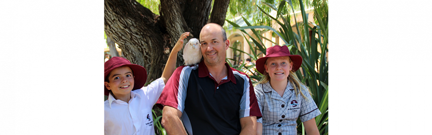 First week of school for a cockatoo