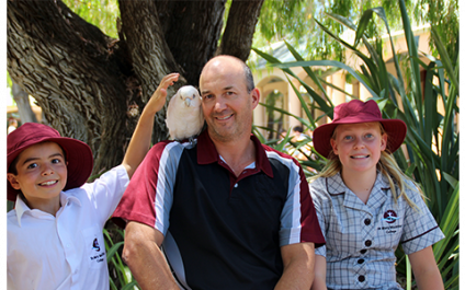 First week of school for a cockatoo