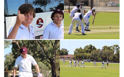 Cricket 2016 season summary