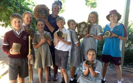 Curiosity Academy: Native Bee Hotels