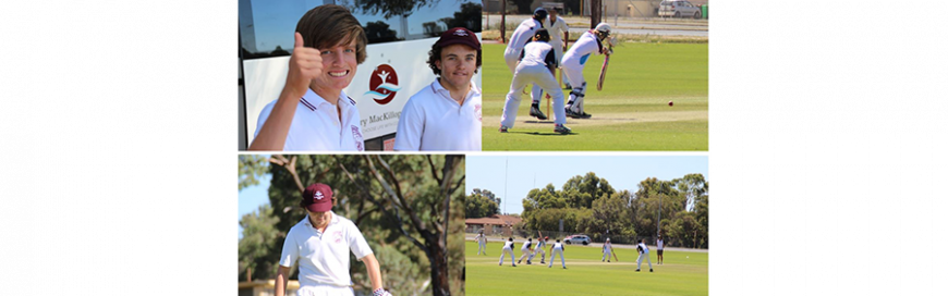 Cricket 2016 season summary