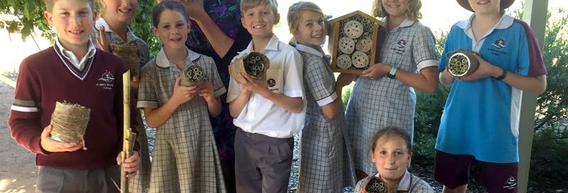 Curiosity Academy: Native Bee Hotels