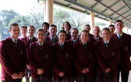 Senior Student Council Announced