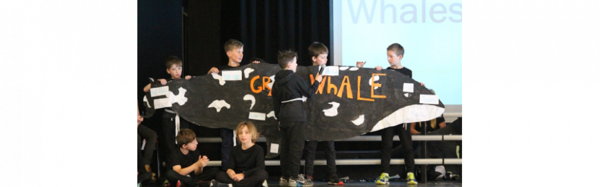 Assembly and Awards 5DA: What does the Whale Say?