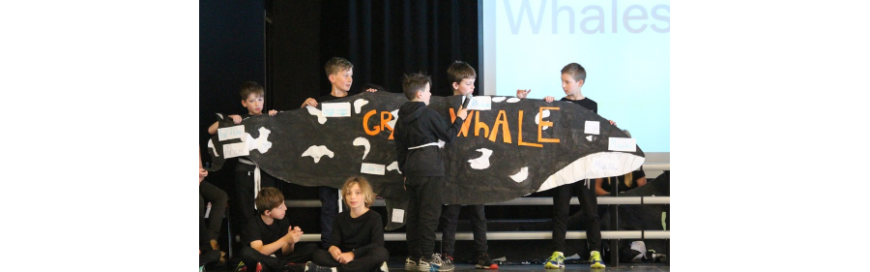 Assembly and Awards 5DA: What does the Whale Say?