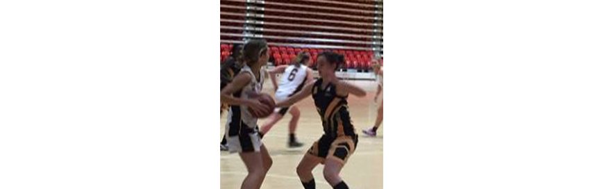 Basketball: Country and Slammers selection