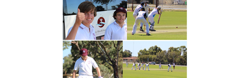 Cricket 2016 season summary
