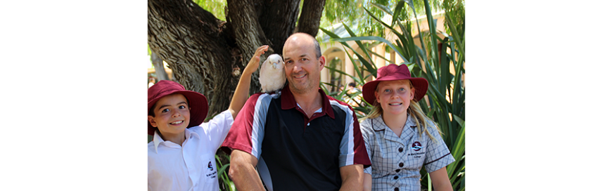 First week of school for a cockatoo