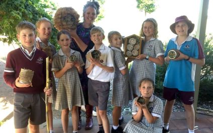 Curiosity Academy: Native Bee Hotels