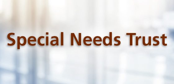 Provide for family members with special needs using an SNT