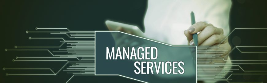 Cost vs. Value: Understanding the ROI of Managed IT Services for Enterprises