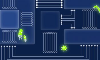 How to tell if you’re infected with malware