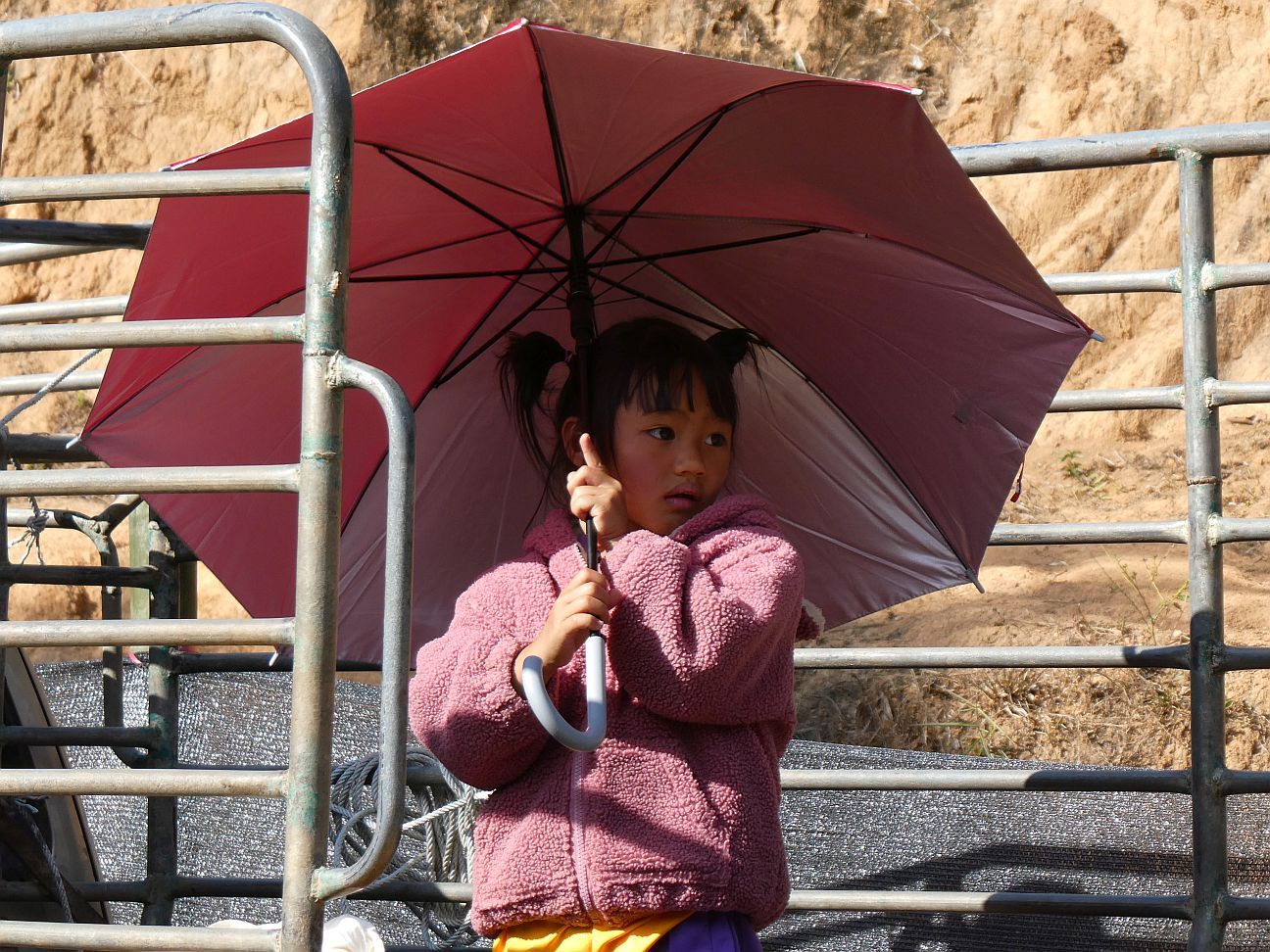 LINE_ALBUM_Kfam 24-27 Jan 2026_260206_474