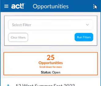 Filtering on the Opportunities view