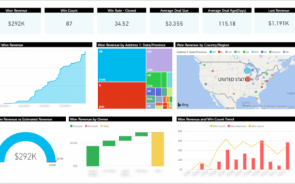 Business Intelligence and Dynamics CRM
