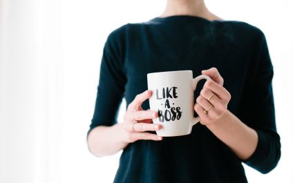 Entrepreneur Basics … including a Free CRM