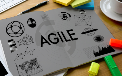 TopLine Results: Demonstrating the Disciplined Agile Mindset