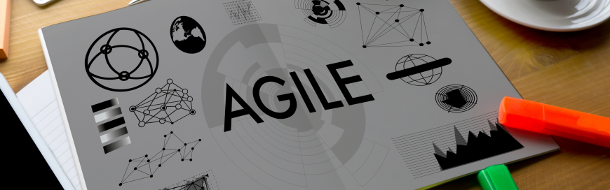 TopLine Results: Demonstrating the Disciplined Agile Mindset