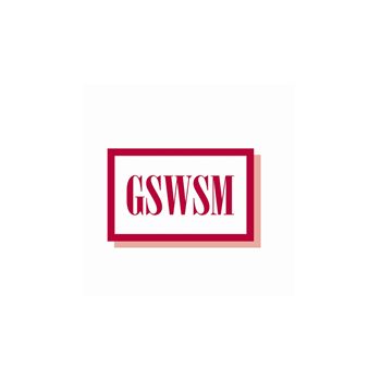 Geriatric Social Workers of SE Michigan