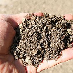 High-quality Topsoil and Organic Soil Conditioners, Baltimore - Topsoil
