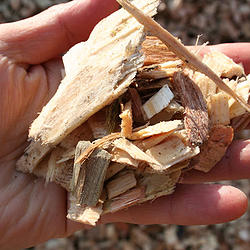 Sawdust & Woodchips, Milford Mill, Baltimore, Dundalk