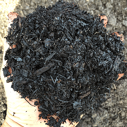 Wood Waste Recycler, Maryland - Mulch