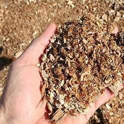 Sawdust Woodchips Baltimore Edrich Lumber