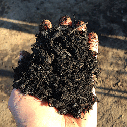 High-quality Topsoil and Organic Soil Conditioners, Baltimore - Topsoil