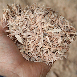 Sawdust & Woodchips, Milford Mill, Baltimore, Dundalk
