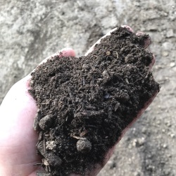 High-quality Topsoil and Organic Soil Conditioners, Baltimore - Topsoil
