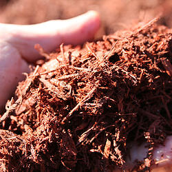Wood Waste Recycler, Maryland - Colored Mulch