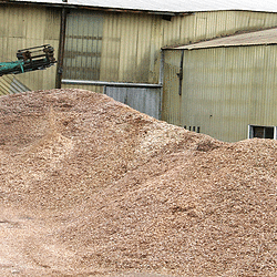 Sawdust & Woodchips, Milford Mill, Baltimore, Dundalk