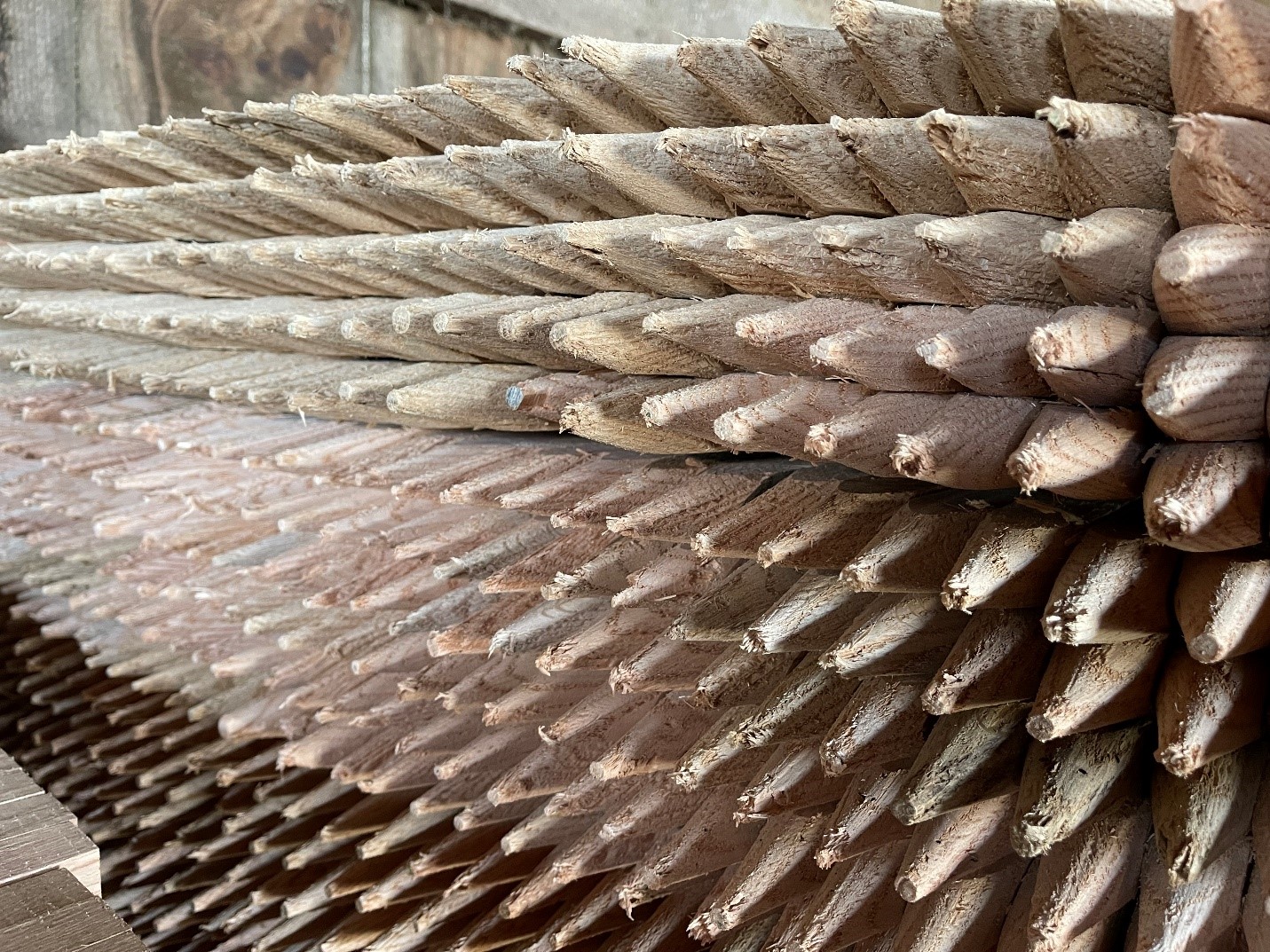 Tree Stakes Baltimore Edrich Lumber