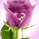 Patty A. Armstrong Lawrence