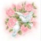 Shirley M. Zoucha