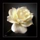Jackie Mahlin