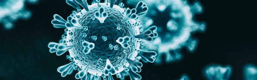 Roebuck Technologies’ response to COVID-19