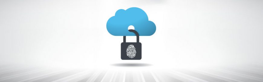 How to Reduce Cloud Security Risks