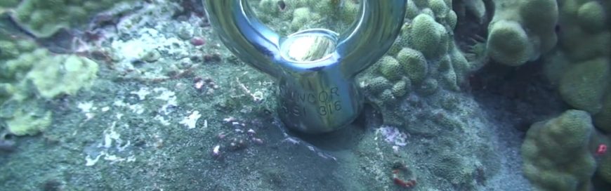 Customer story: Jack’s Diving Locker