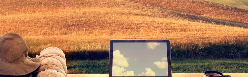 The digital divide, rural businesses, and cloud computing