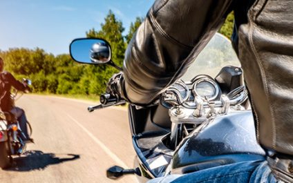 Who’s a worse driver: a celebrity on a motorcycle, or a half-blind cat with narcolepsy? The answer might surprise you