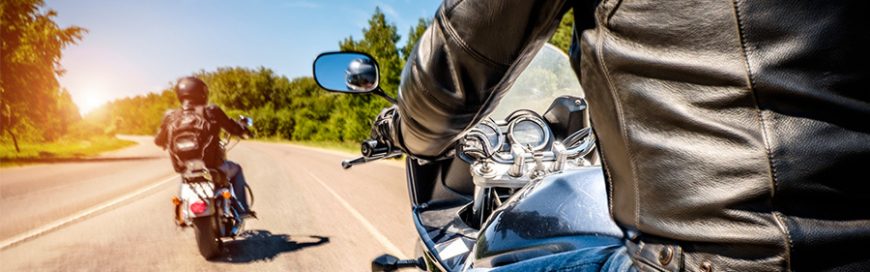 Who’s a worse driver: a celebrity on a motorcycle, or a half-blind cat with narcolepsy? The answer might surprise you