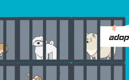 Pet adoption scams – SCAM OF THE MONTH