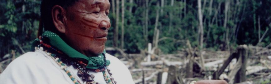 The Right to Health of Indigenous Peoples and Nature