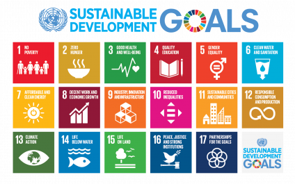 Mapping the Renewable Energy Sector to the Sustainable Development Goals